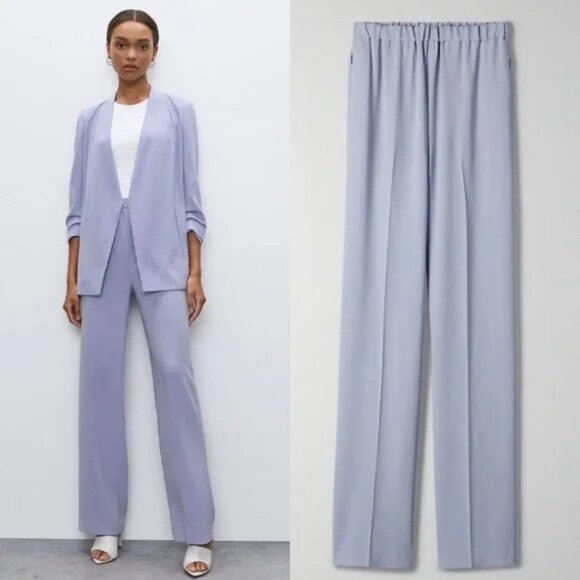 Aritzia Pants - Aritzia Babaton Serif Wide Leg Pull on Pants